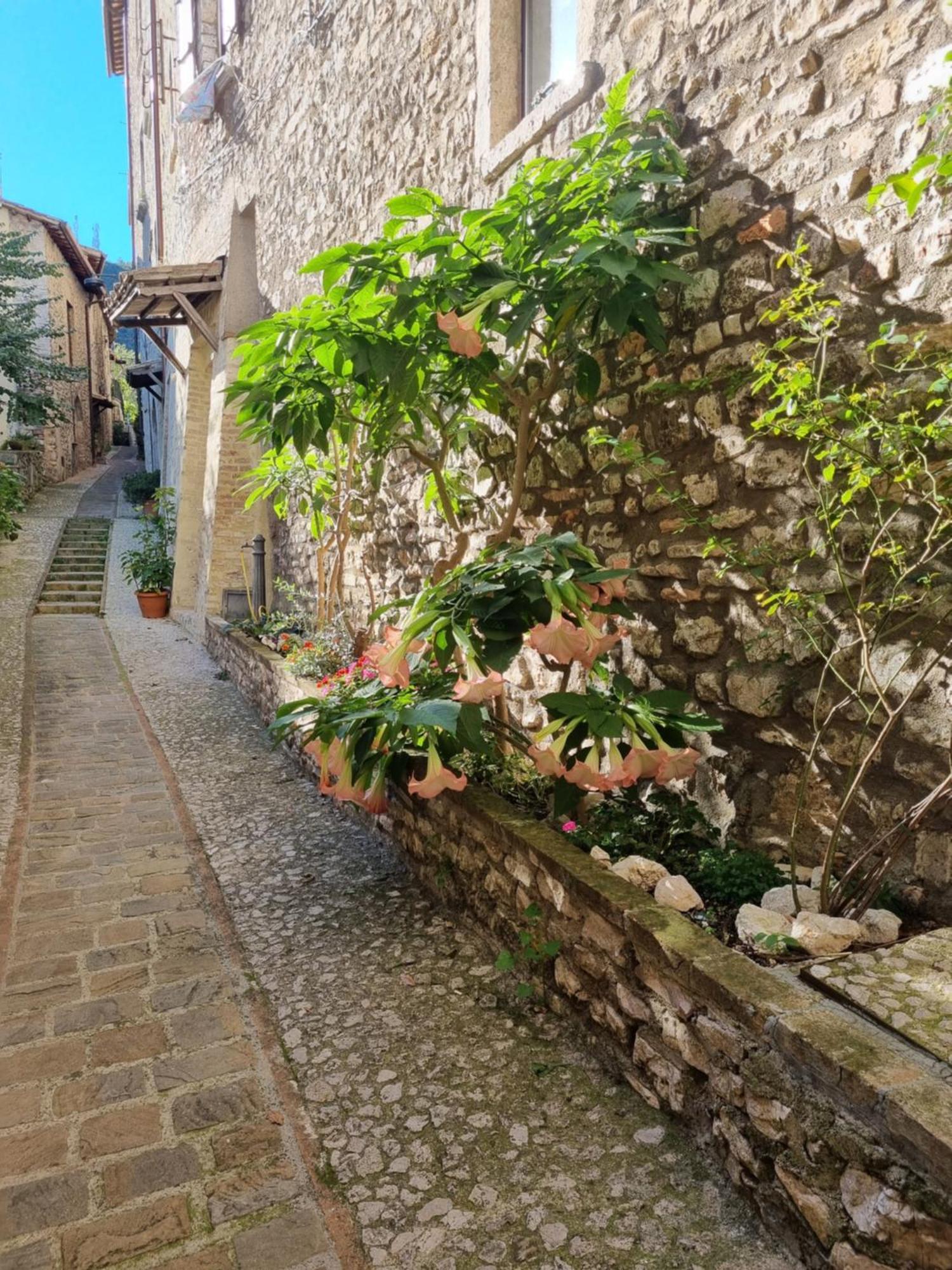 Cuore Del Castello Arrone Exterior photo